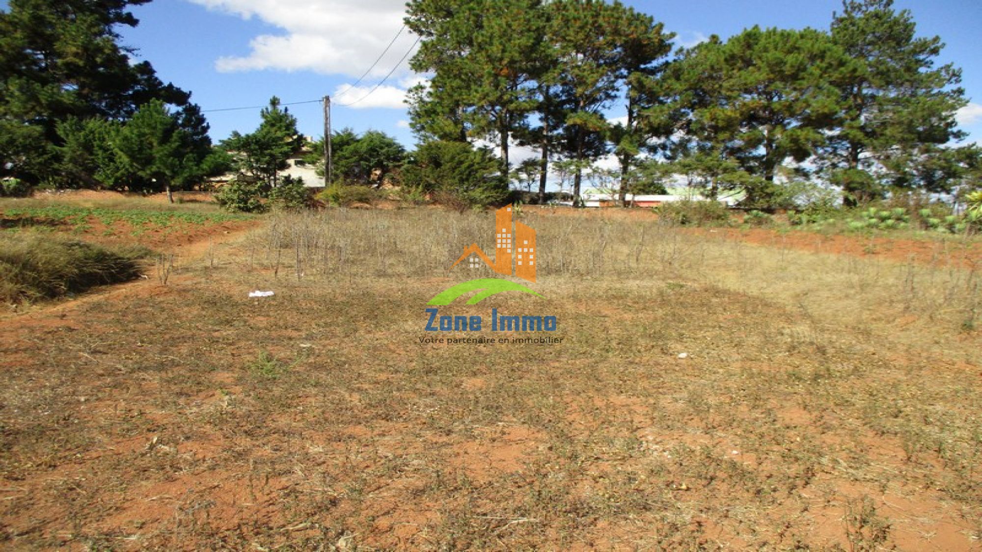 https://www.zoneimmo-mada.com/uploads/2018/06/23/a-vendre-terrain-de-5-770m-a-ambo-fenoarivo-1529743652_1_66727_large.jpg
