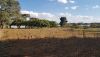 https://www.zoneimmo-mada.com/uploads/2020/09/08/a-vendre-terrain-cloture-de-7-188m-pieds-dans-l-eau-a-ilaivola-ivato-1599545972_1_87719_medium.jpg