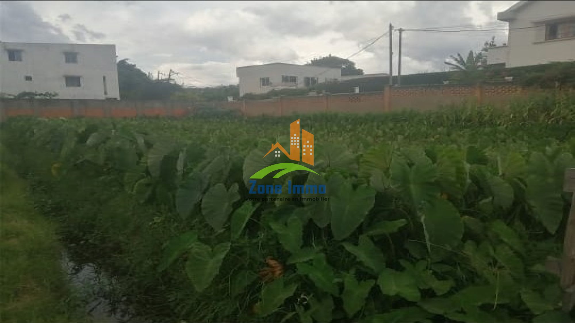 https://www.zoneimmo-mada.com/uploads/2025/07/22/a-vendre-terrain-de-550m-a-amboditsiry-ouest-nanisana-1753190574_1_56100_large.jpeg