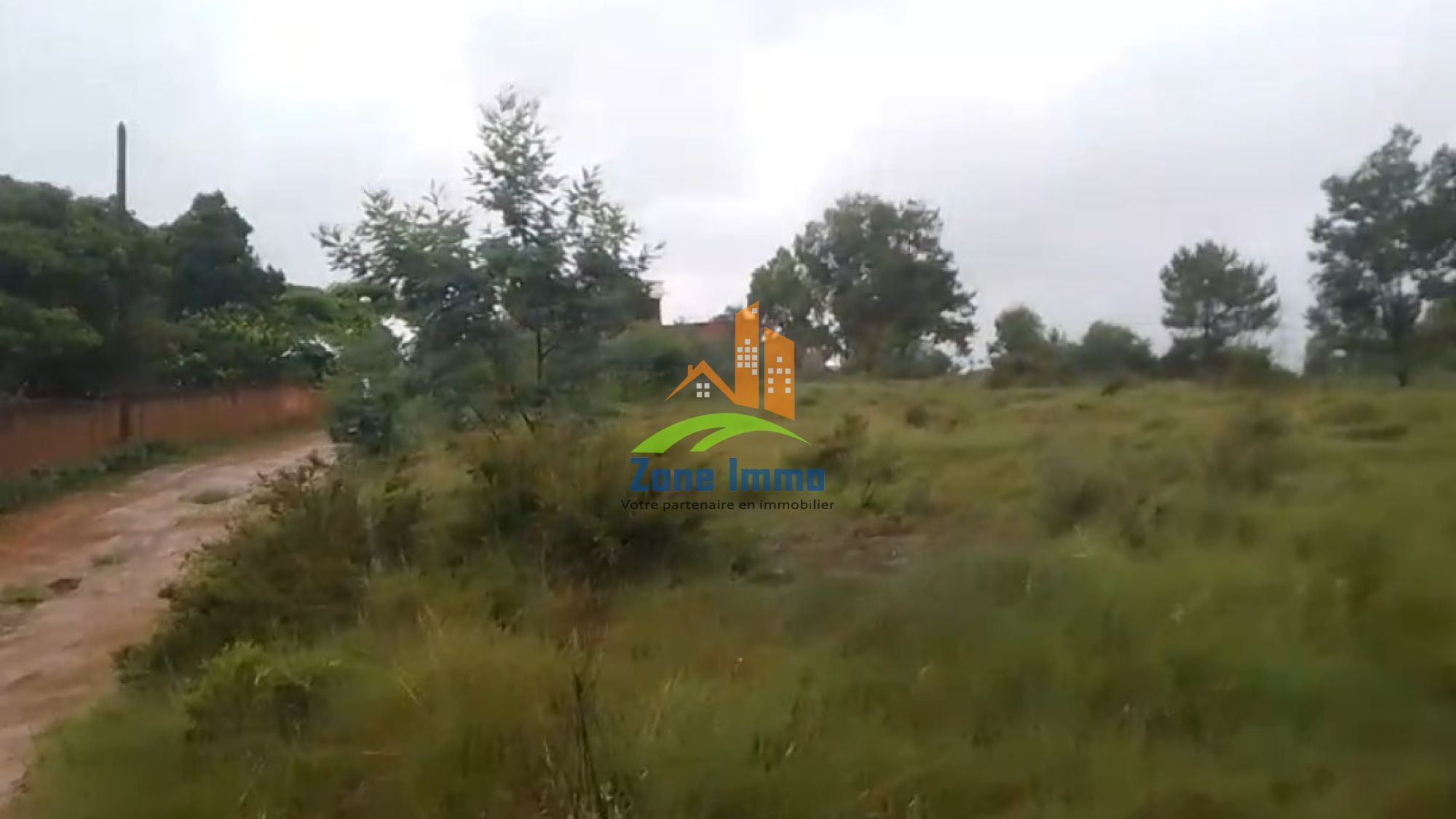 https://www.zoneimmo-mada.com/uploads/2026/02/01/a-vendre-terrain-de-2ha-3a-80ca-a-ambohimalaza-pk-17-rn2-1770015417_1_1436_large.jpg
