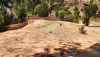 https://www.zoneimmo-mada.com/uploads/2026/08/27/a-vendre-terrain-de-1-634m-a-ambatobe-1787822219_1_88544_medium.jpg